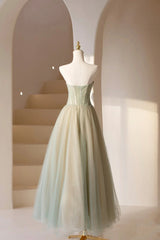 Lovely Strapless Long Tulle Prom Dress, A-Line Evening Dress