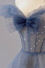 Blue Tulle Long A-Line Prom Dress